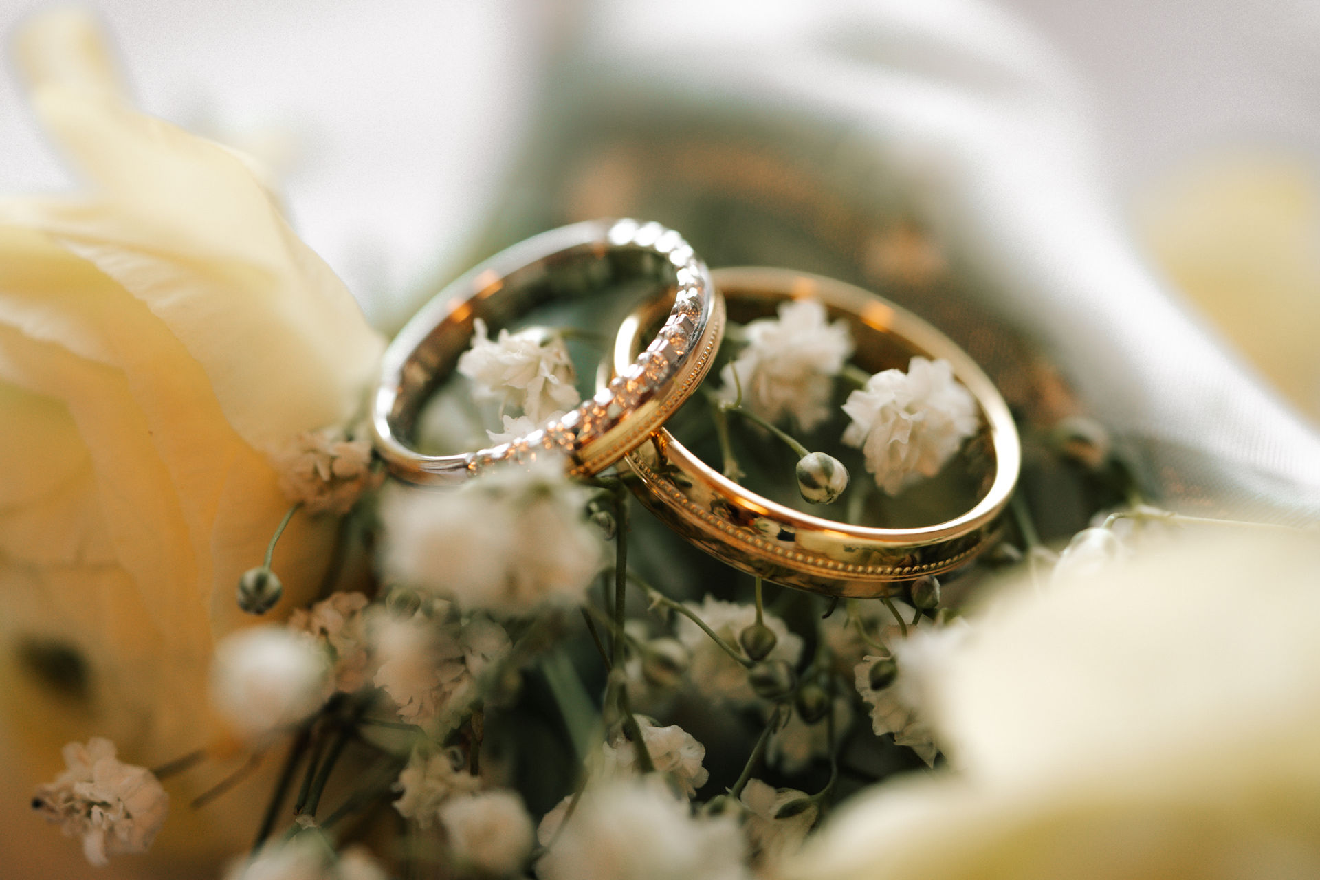 Details, die leuchten. Eheringe auf Blumen
